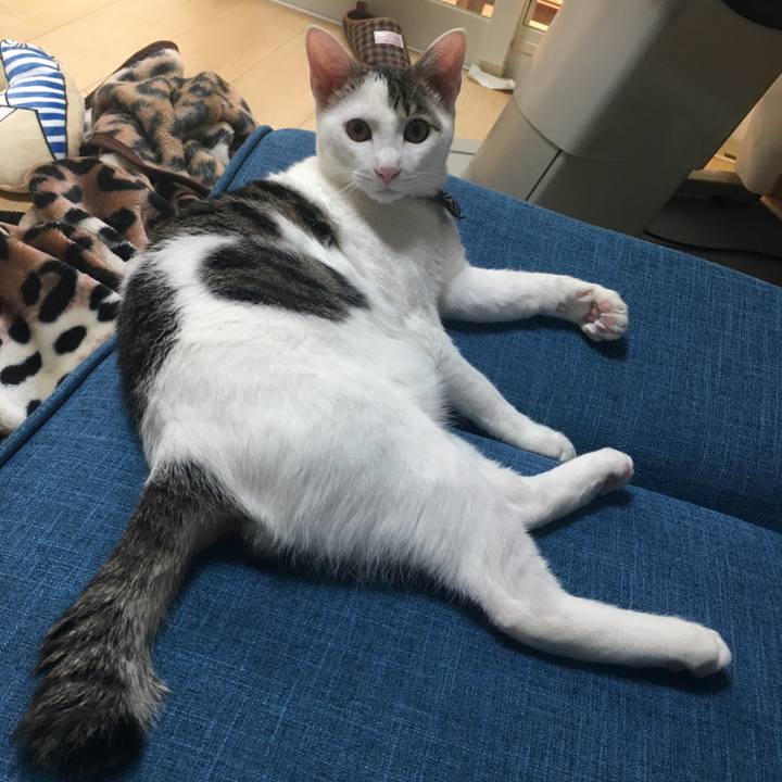 0cac1dfc 7b25 4ef3 8a13 bebc9bd15ede