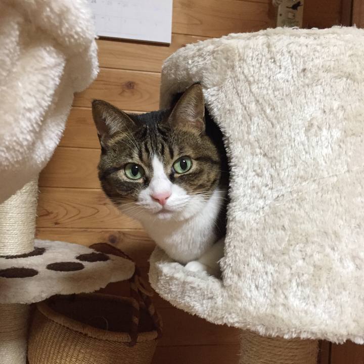 0cacab31 d2d0 4776 8066 0820d188601a