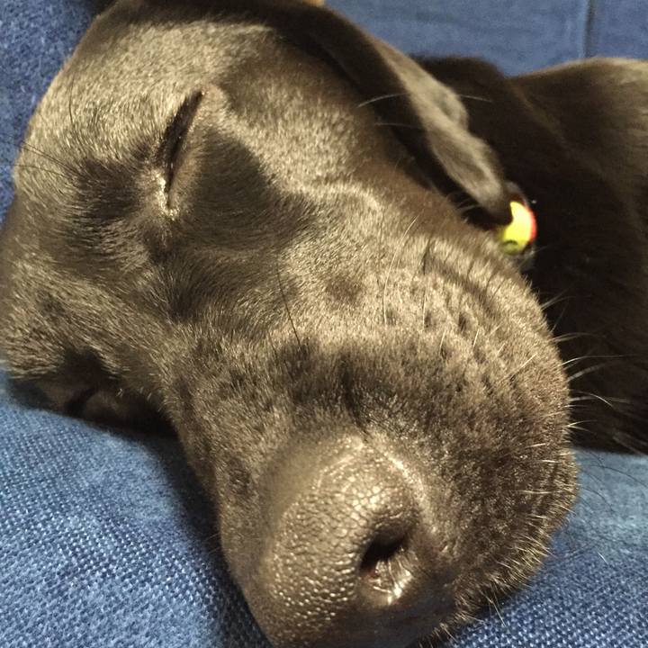 0cacbc54 5647 4c98 8082 7485cc17c9d7