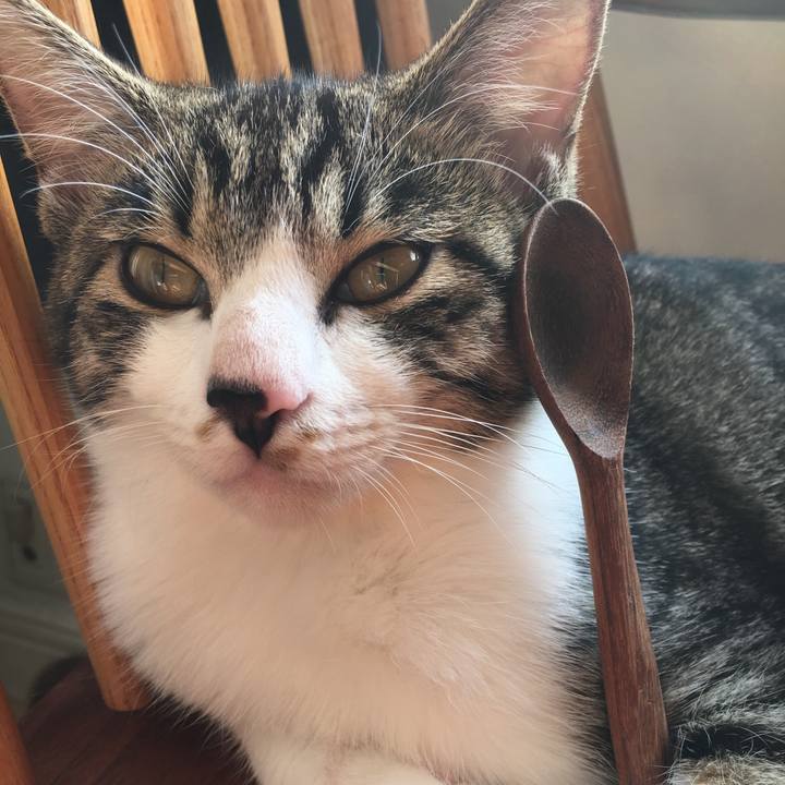 0cad0f57 d73c 4caa 8821 a1496f9cb7fa