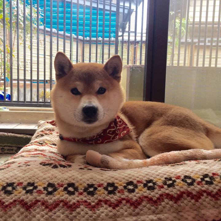 0cad31ce 4208 48a9 9e29 03959046cf03