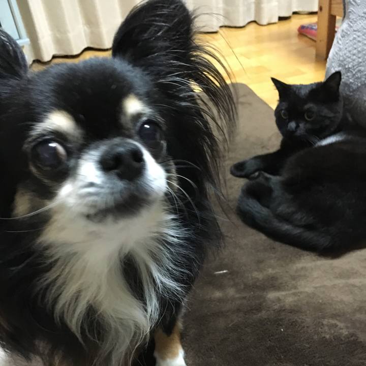 0cae0faa 010c 472b a97b 8fe9e31ed68a