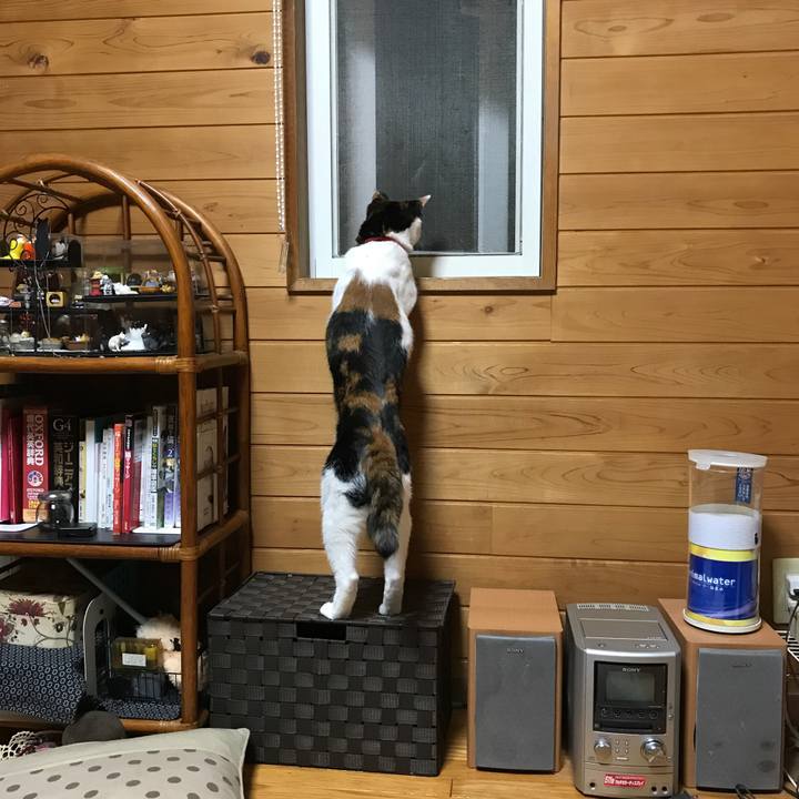 0cae6dfc a6a2 4fa3 99a1 c02c5cd11598