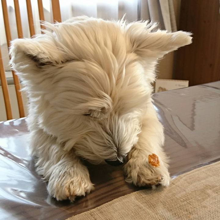 0caf11ba a953 440f ba6c b0dcfed8f1e3