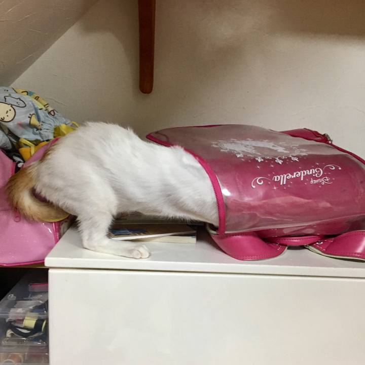 0caf25dc c675 42c3 98f8 c5eabec335c0