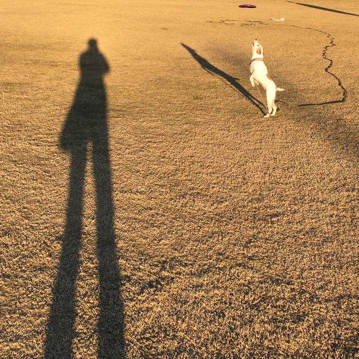 0caf3d35 5876 477e 8940 c44200f641e0