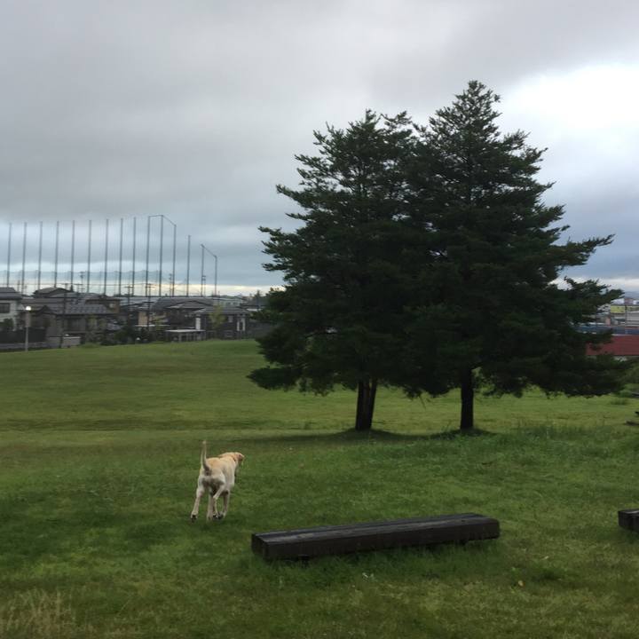 0cb03756 5601 487e 97cf 66c282d3a660