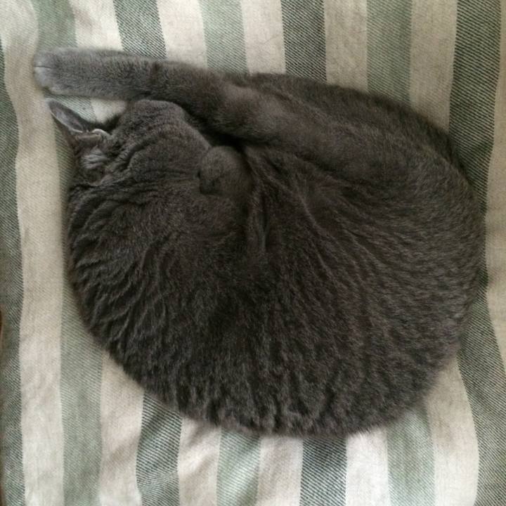 0cb074fa ce40 432f a246 dc6792d9c183