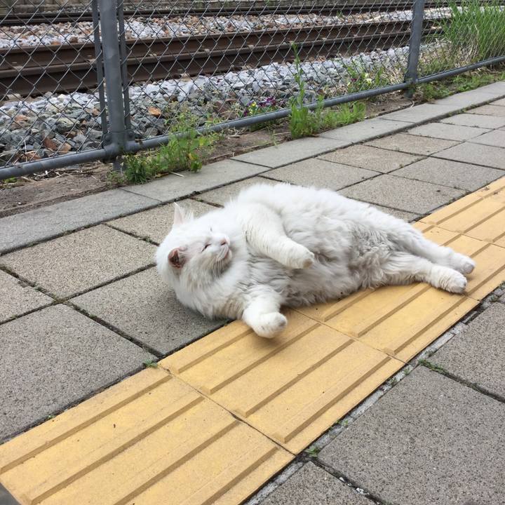 0cb0c22d b521 4775 b901 6ba6595c4dc6