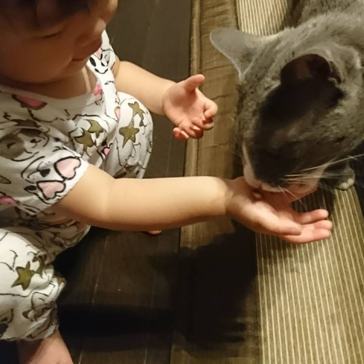 0cb10426 68cc 42ed 95d6 2b6c5c9ef08d