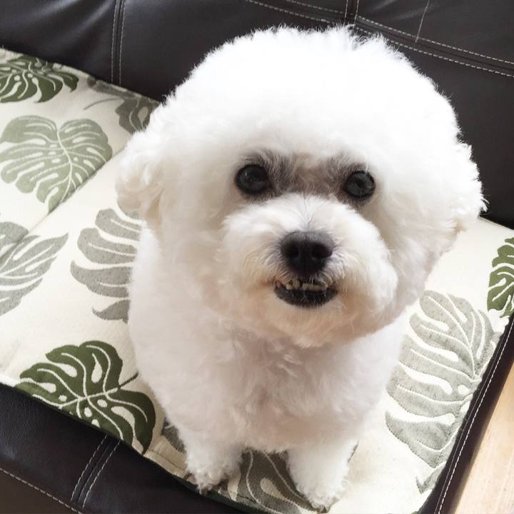 0cb2824e 32bc 4026 80f7 2c9979abcd4b