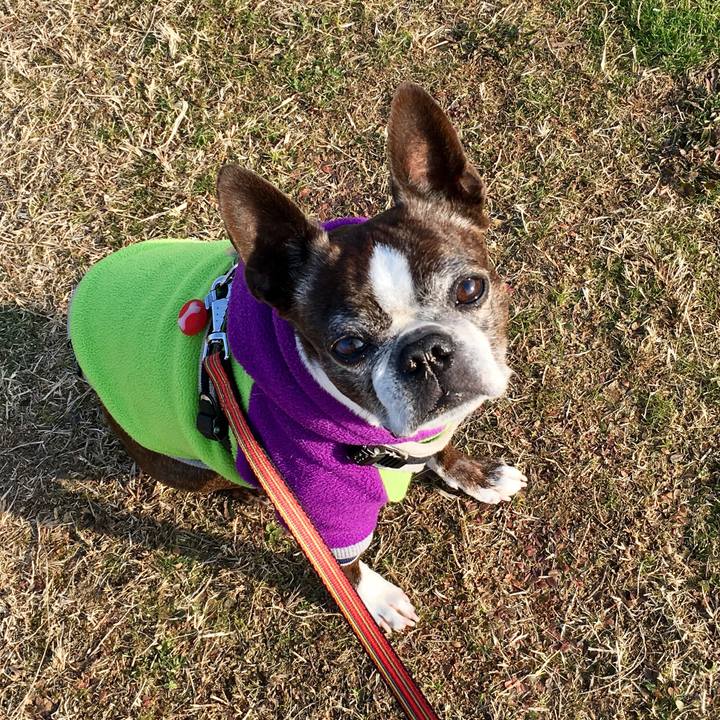 0cb30e88 fbbd 4c5c 97a9 e68b6abf8436