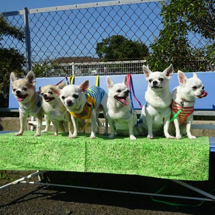 0cb3820c 287d 4fc2 8310 c2eadab84582