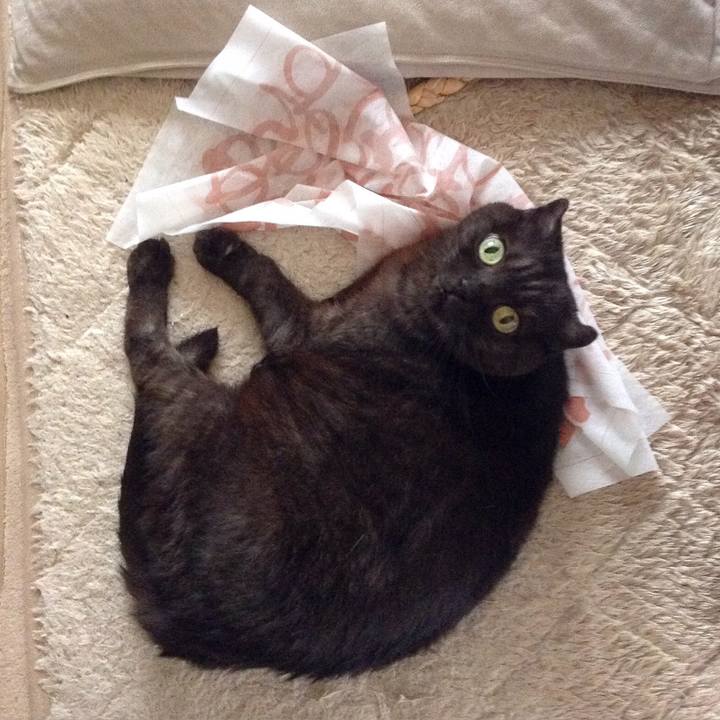 0cb39468 efa3 45a5 b0f1 85bcc5a499c5