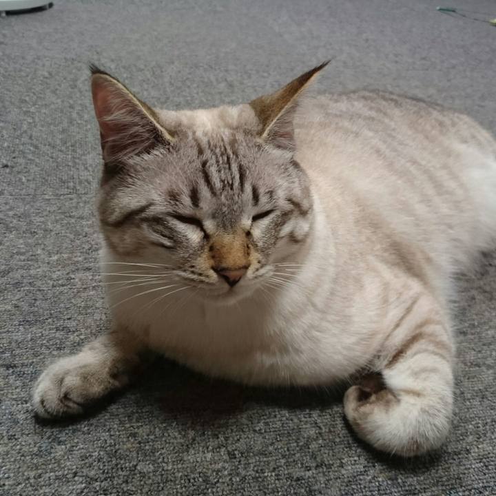 0cb3a777 8e3d 49ae a2f9 3a358b1e8b79