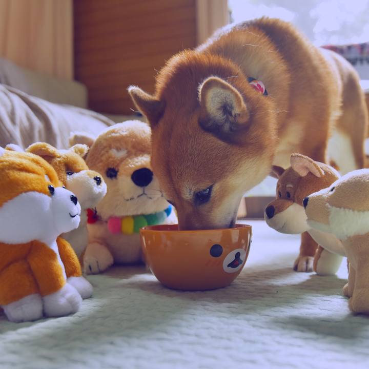 0cb3e857 4738 475c 9a88 6d62d19d40ec