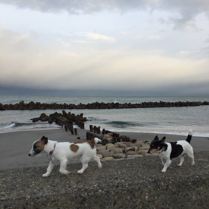 0cb467e3 0de3 4e81 9efb 0e4143f011ad