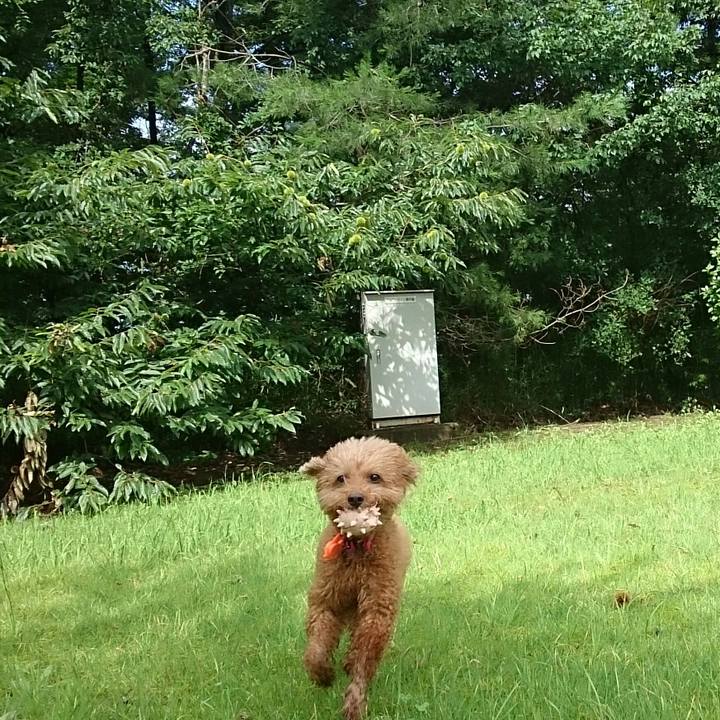 0cb4bc43 b999 4088 bfb2 f1d46deec9f1