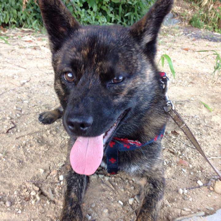 0cb58e29 5937 485a a607 1684033d5e29