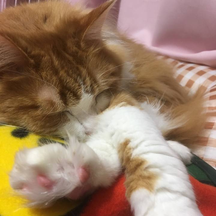 0cb5df23 2cca 4eed 9628 a1eec1f0bf92