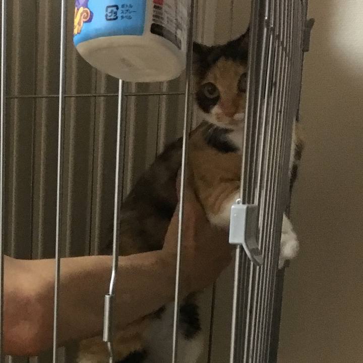 0cb5eca7 15cd 4f2a 828c c0bab6881f2a