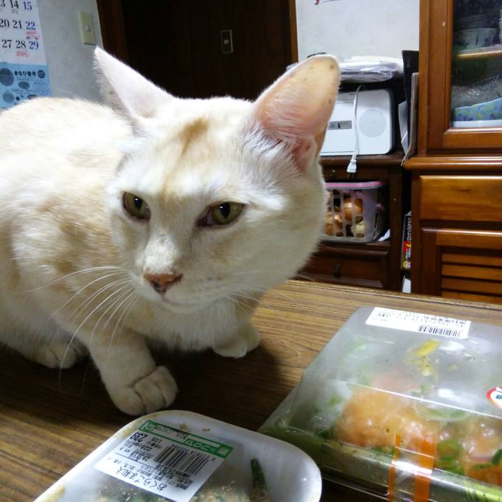 0cb67cf1 d8b7 42ae 9920 850e1d27ea29