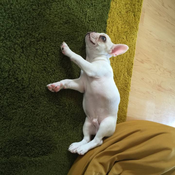 0cb706df 5cb5 4265 b1dd cd9cf260d6fd