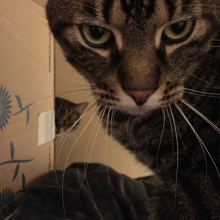 0cb7379c d279 4058 abe9 8385d2bf8a6e