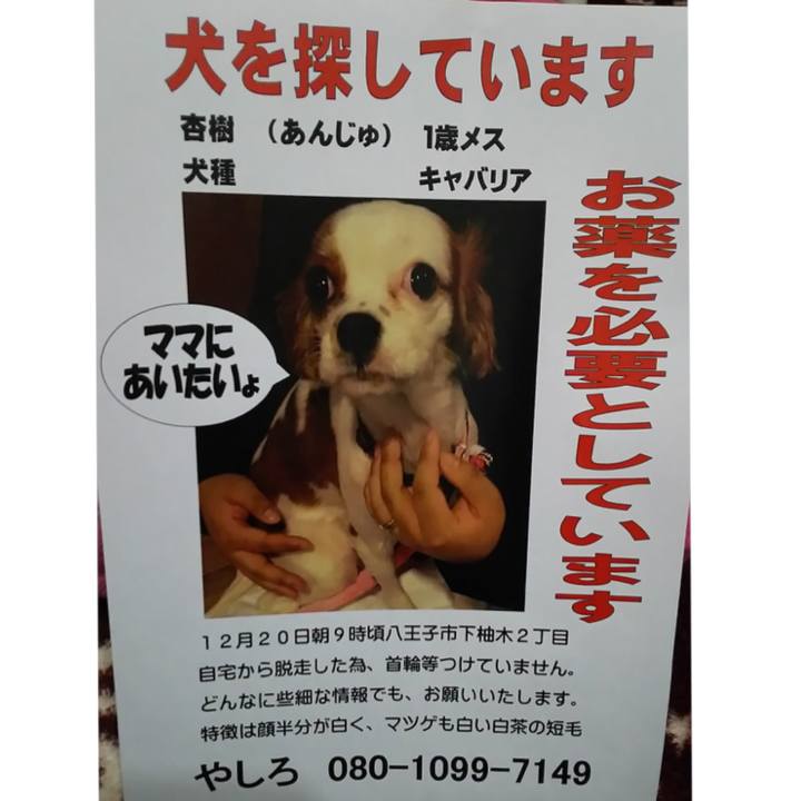 0cb75d4a f566 42a3 9903 f9986d007f78