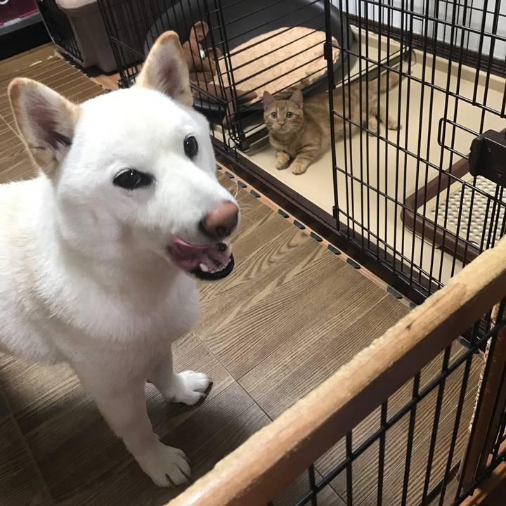 0cb80abe bb70 4445 ad15 a38df64d5456