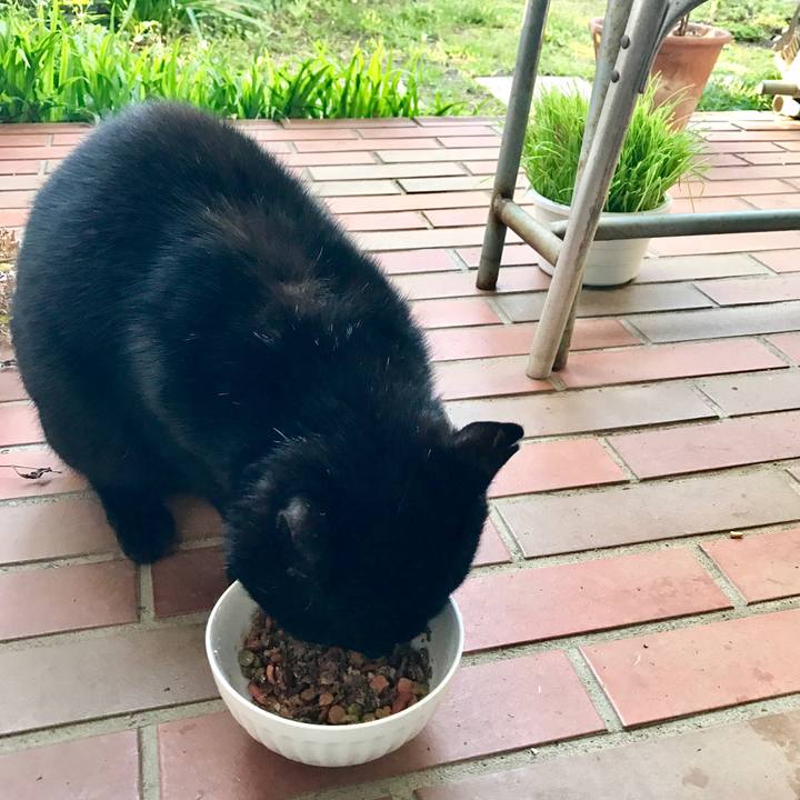 0cb91613 feae 4ad1 9bb7 ade78b6a6ae1