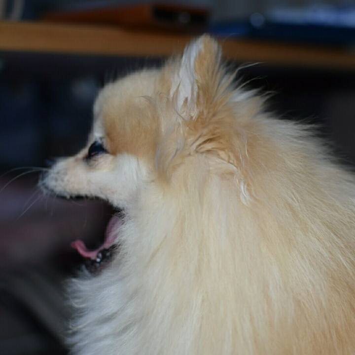 0cb925f8 057f 40f2 a619 4b712fd41b21