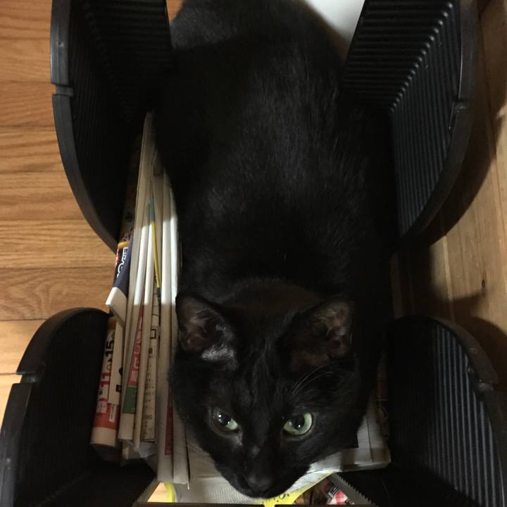 0cb975cb db03 4b90 9160 00459dfdcd31