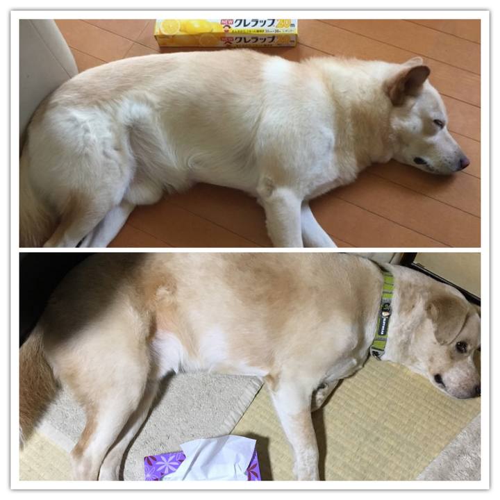 0cb99295 8e1b 4d4d b9c6 8620b49f17d3