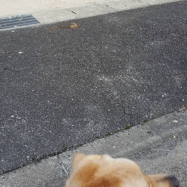 0cb9f323 2d4c 4c12 b12c 297fb6a28650