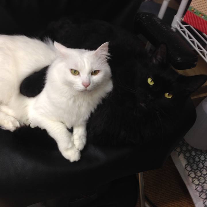 0cba0dd9 d126 4e2f b03c 104e05c8f633