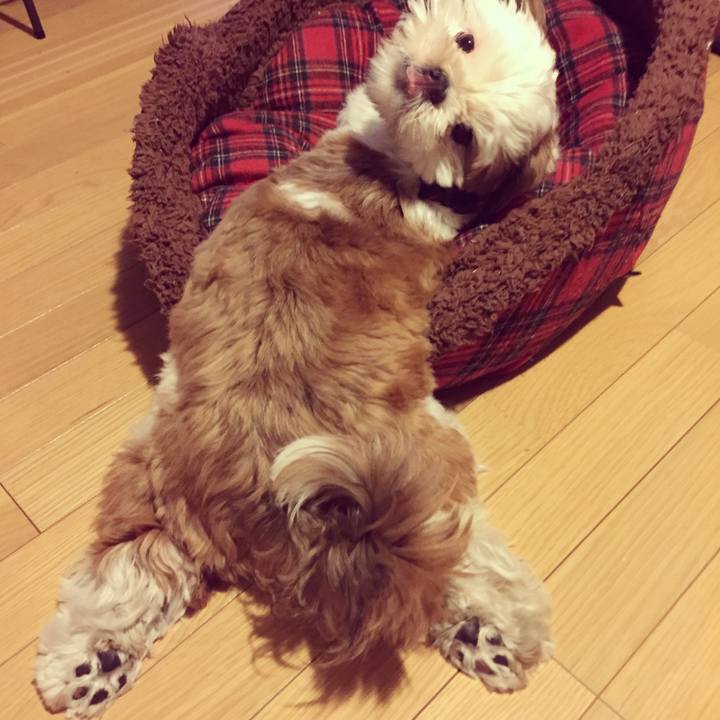 0cbbd141 7534 4709 a2d9 456423dc5028