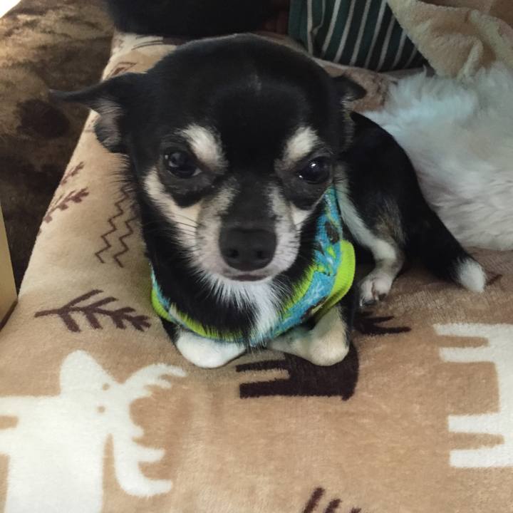 0cbc00c0 c2a0 4b32 84a9 2d7eeefc5ec3