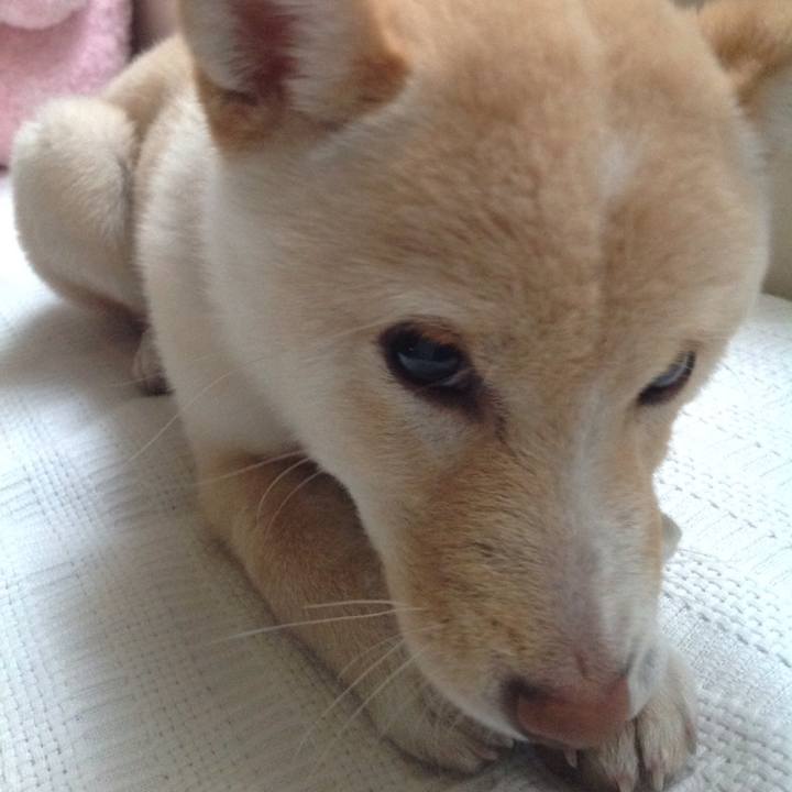 0cbc876c 1756 4c70 bccd 48edb977c9c6