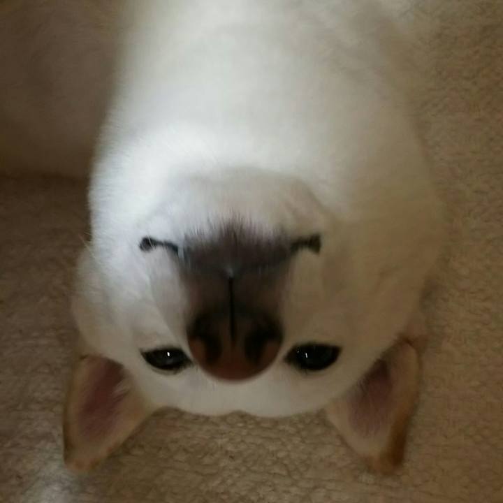 0cbccdc8 c3e7 472e ae73 6bf854dd6d4b