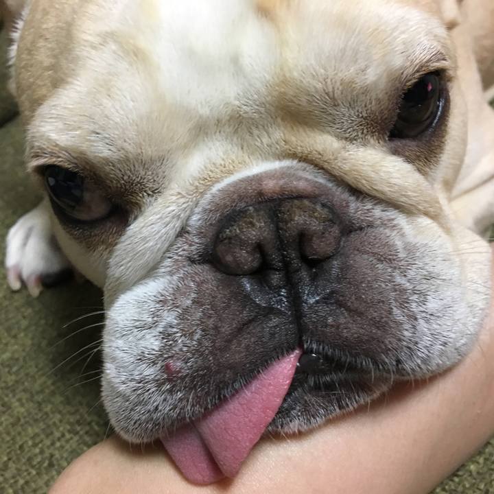 0cbced04 a9a8 4af9 8449 875190a693d5