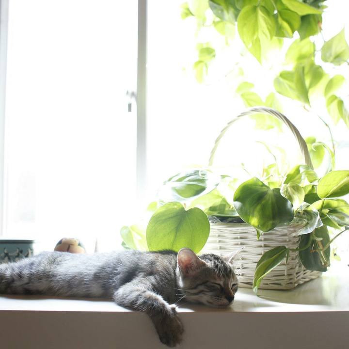 0cbcf4f3 def2 4f7e 8ab7 7f23ad184d4b