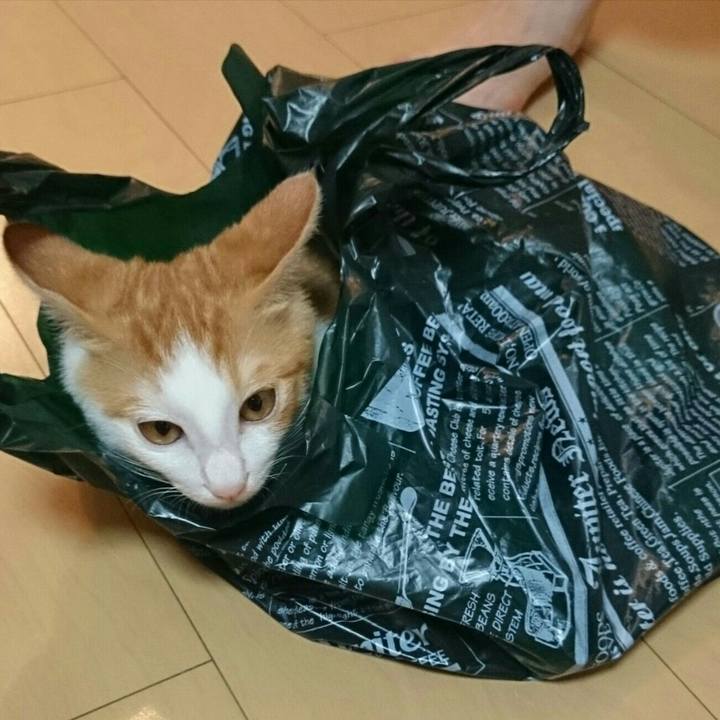 0cbd040d 448e 465b 9bb8 c96b7a780eb6