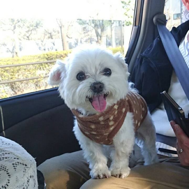 0cbd3b0b 816e 48ff aea1 aee4e6385e32