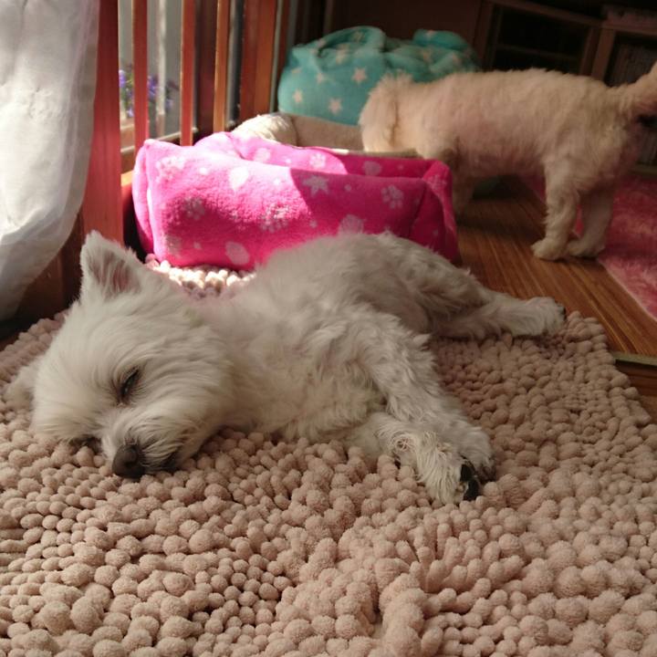 0cbd4cd7 c5f5 4c1c adec 95f79f98ec64