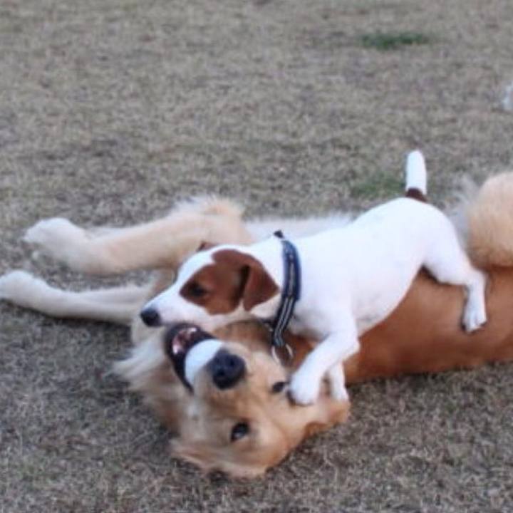 0cbd8d34 32bc 4768 97da 663c5e05eef8