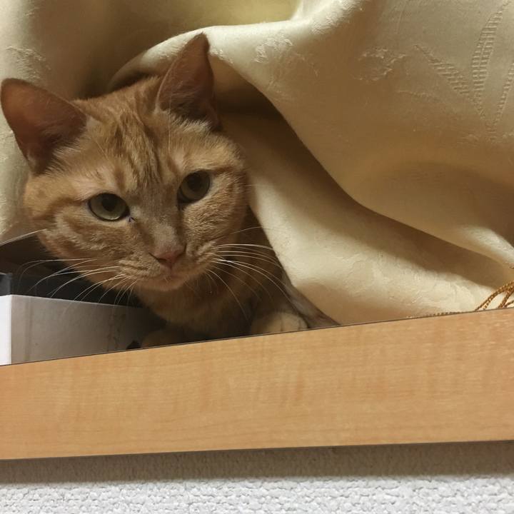 0cbdc5ec 3f1d 42b0 ba49 bc8c61a44d8d