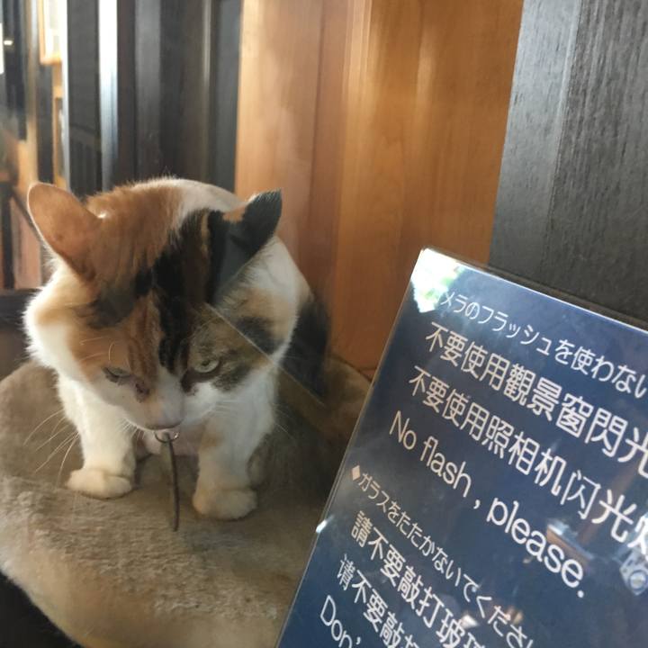 0cbe33fc 958c 42f7 8177 771f2c2d4255