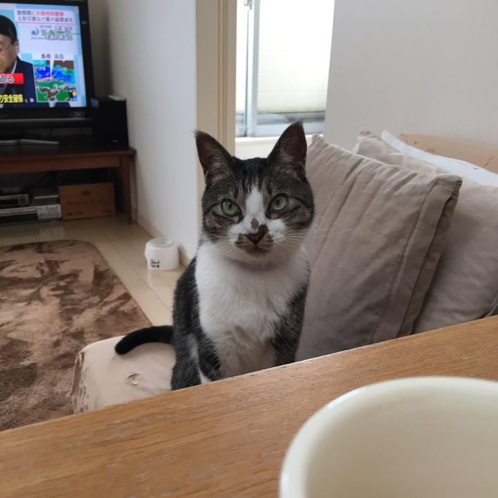 0cbec19b b14b 497b a9d2 0db0b0bda6aa