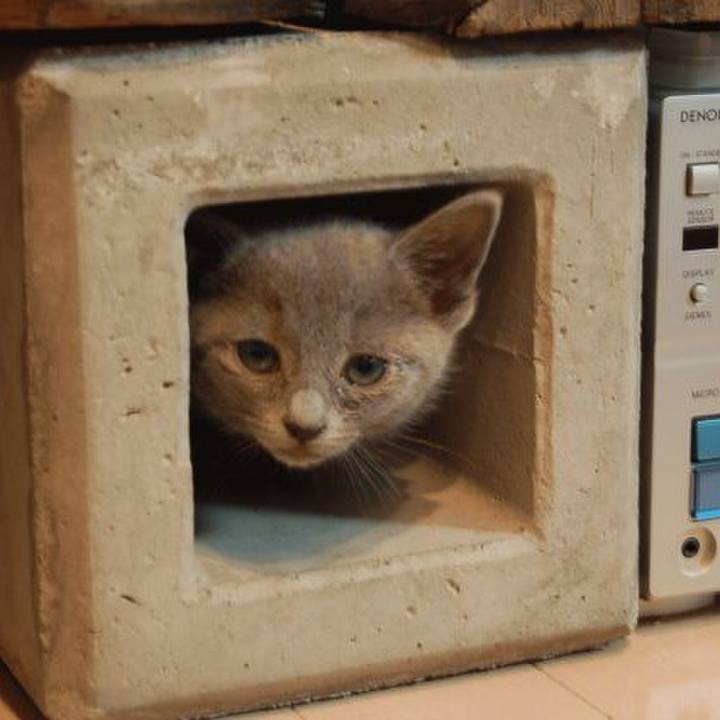 0cbef0b1 abde 4e27 b825 4a1bc0df85bc